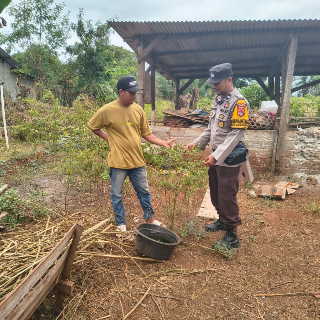 Dukung Ketahanan Pangan Nasional, Bhabinkamtibmas Desa Labangka Sambangi Pekarangan Warga dan Beri Motivasi Petani Cabai