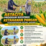 Dukung Astacita, Polsek Palang Polresta Tuban Pantau Langsung Lahan Jagung milik warga Desa Dawung