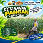 Polsek Tuban Dukung Ketahanan Pangan Nasional melalui Pemantauan Tanaman Jagung
