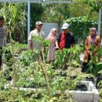 Dukung Ketahanan Pangan, Bhabinkamtibmas Desa Air Suning Dampingi Dinas Pertanian Prov. NTB Cek Kebun PKK