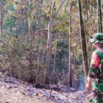 Diduga Puntung Rokok, Kebakaran Hutan Mareje Jadi Peringatan Bersama