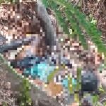 Warga Temukan Mayat Tak Dikenal di Bukit Lendang Luar, Polisi Lakukan Evakuasi