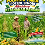 Bhabinkamtibmas Polsek Senori Polresta Tuban Pantau Tanaman Jagung Warga Desa Jatisari Guna Dukung Ketahanan Pangan Nasional
