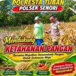 Polisi RW Polsek Senori Polresta Tuban Monitoring Tanaman Jagung Warga Desa Medalem