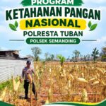 *Polri Dukung Astacita, Polsek Semanding Polresta Tuban Turun Cek Tanaman jagung milik Warga di Desa Jadi