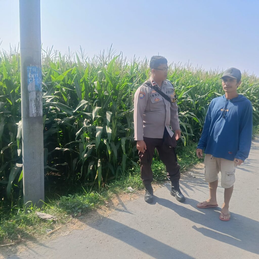Bhabinkamtibmas Desa Terara Monitoring Lahan Pertanian, Polri Dukung Ketahanan Pangan Nasional
