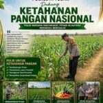 Konsep Otomatis