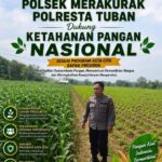 Polri Dukung Astacita, Polsek Merakurak Polresta Tuban Turun Cek Tanaman Jagung Warga di Desa Tuwiri Wetan
