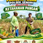 Program Ketahanan Pangan Bhabinkamtibmas Polsek Senori Polresta Tuban Lakukan Pemantauan Tanaman Jagung Warga Desa Wanglukulon