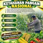 Polri Dukung Astacita, Polsek Rengel Polresta Tuban Turun Cek Tanaman Jagung Warga di Desa Pekuwon