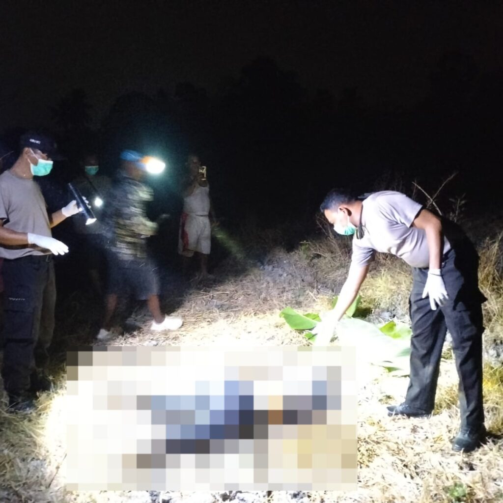 Warga Lape Digegerkan Penemuan Mayat Perempuan di Area Persawahan, Korban yang Sempat Dilaporkan Hilang Dievakuasi Polsek Lape