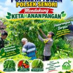 Bhabinkamtimas Polsek Senori Polresta Tuban Polda Jatim Sambang Pekarangan Pangan Bergizi Warga Desa Medalem Guna Mendukung Ketahanan Pangan