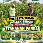 Bhabinkamtibmas Polsek Senori Polresta Tuban Lakukan Pemantauan Tanaman Jagung Warga Desa Wanglukulon Guna Mendukung Program Ketahanan Pangan
