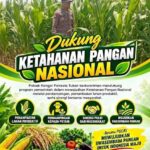 Polri Dukung Astacita, Polsek Rengel Polresta Tuban Turun Cek Tanaman Jagung Warga di Desa PekuwonPolri Dukung Astacita, Polsek Rengel Polresta Tuban Turun Cek Tanaman Jagung Warga di Desa PekuwonPolri Dukung Astacita, Polsek Rengel Polresta Tuban Turun Cek Tanaman Jagung Warga di Desa PekuwonPolri Dukung Astacita, Polsek Rengel Polresta Tuban Turun Cek Tanaman Jagung Warga di Desa PekuwonPolri Dukung Astacita, Polsek Rengel Polresta Tuban Turun Cek Tanaman Jagung Warga di Desa PekuwonPolri Dukung Astacita, Polsek Rengel Polresta Tuban Turun Cek Tanaman Jagung Warga di Desa Pekuwon