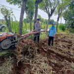 Wujud Polisi Cinta Petani, Polsek Tambakboyo Bantu Petani Olah Lahan Dengan Traktor