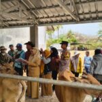Bhabinkamtibmas dan Babinsa Dampingi Penyaluran Bantuan Bibit Sapi untuk Kelompok Ternak di Desa Banjar