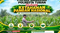 POLSEK BANGILAN DUKUNG KETAHANAN PANGAN TANAMAN JAGUNG