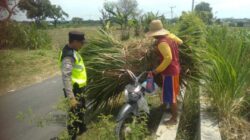 Polri Dukung Astacita, Polsek jenu Polres Tuban Turun Cek Tanaman Jagung Warga di Desa Jenu