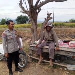 Dukung Ketahanan Pangan Nasional, Bhabinkamtibmas Desa Rhee Turun Ke Sawah Bantu Petani Merawat Tanaman