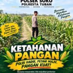 Polsek Soko Polresta Tuban Turun Langsung Cek Tanaman Jagung Warga
