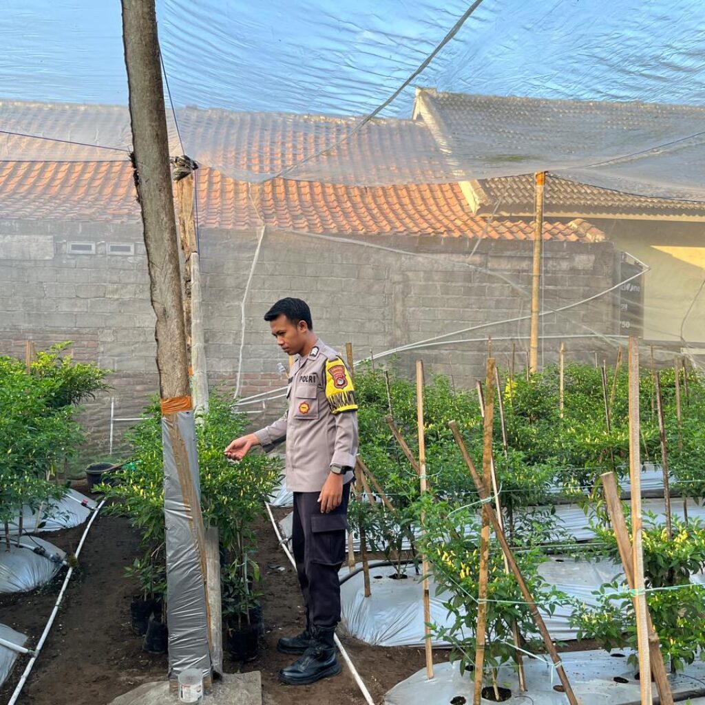 Bhabinkamtibmas Desa Kumbang Sambangi Warga dan Monitoring Ketahanan Pangan, Dukung Swasembada Pangan Nasional